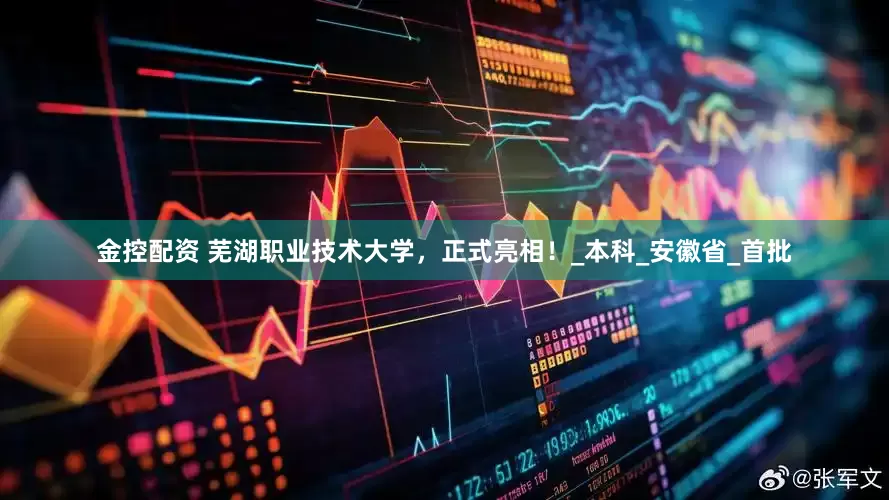 金控配资 芜湖职业技术大学，正式亮相！_本科_安徽省_首批